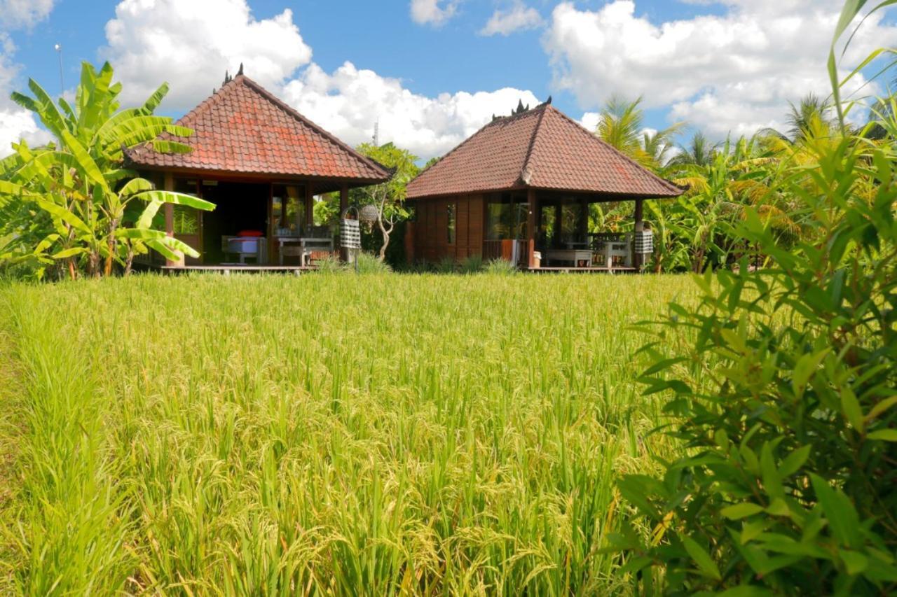 Keramas Surf Camp Hotel Exterior foto