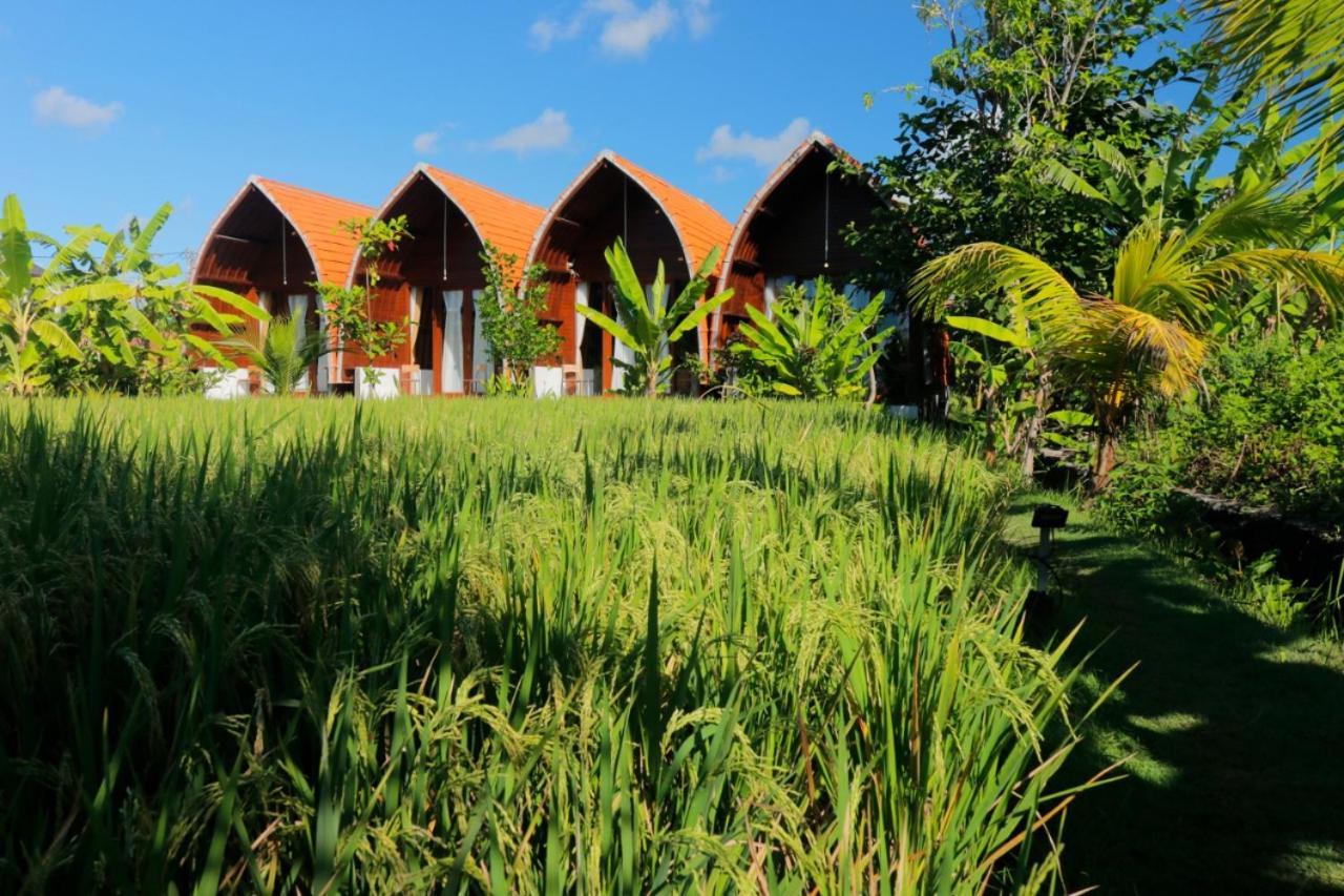 Keramas Surf Camp Hotel Exterior foto