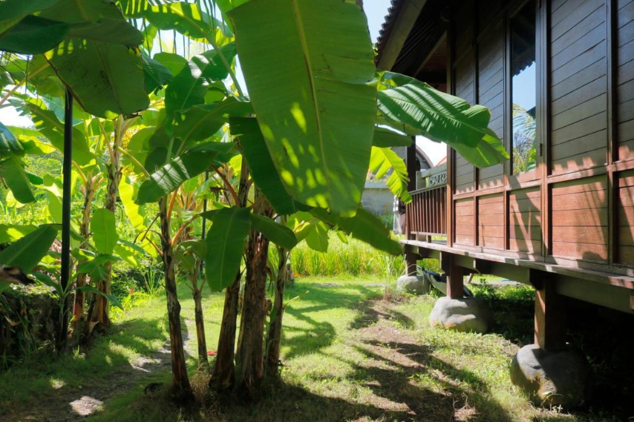 Keramas Surf Camp Hotel Exterior foto