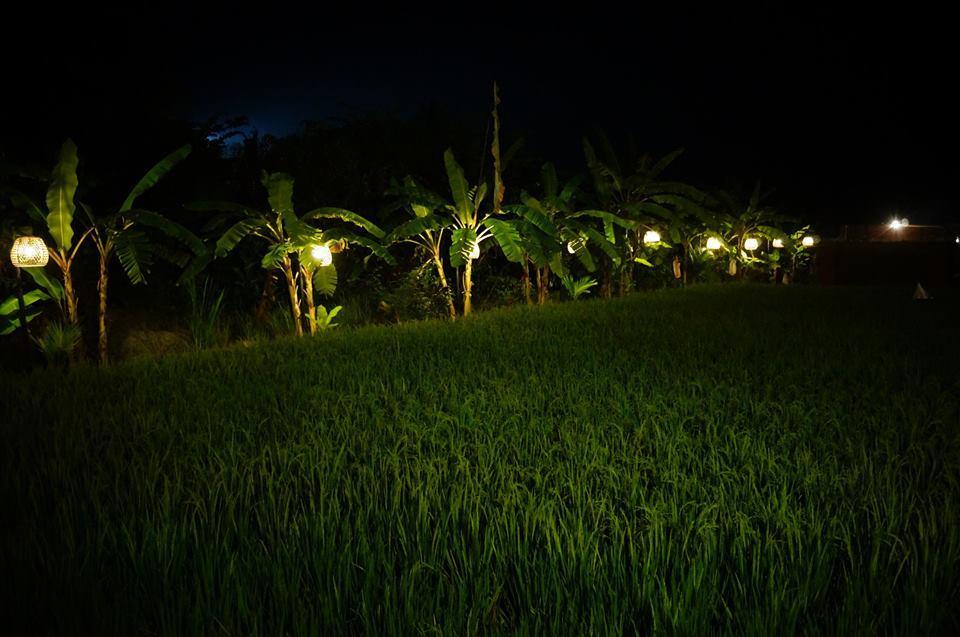 Keramas Surf Camp Hotel Exterior foto